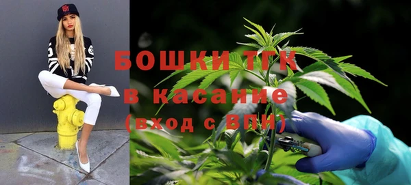 меф Долгопрудный