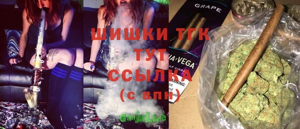 spice Богданович