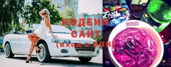 spice Богданович