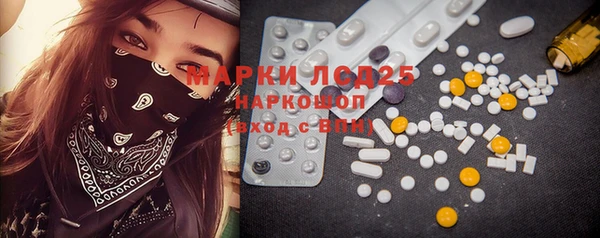 spice Богданович