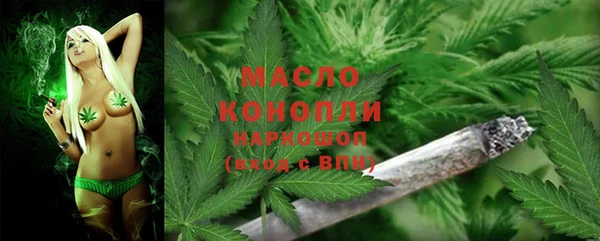 spice Богданович